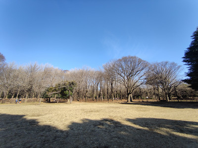 IMG20230225095508.jpg
