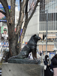 IMG20230225103600.jpg