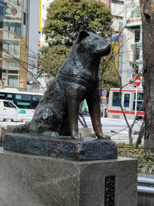 IMG20230225103609.jpg