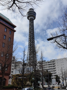 IMG20230225125445.jpg