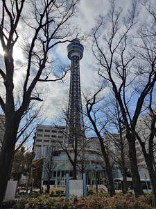 IMG20230225125620.jpg