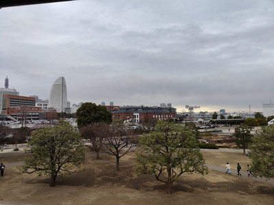 IMG20230225155515.jpg