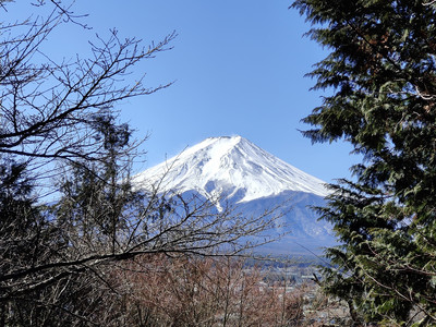 IMG20230226102713.jpg