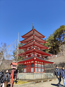 IMG20230226103622.jpg