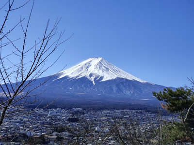 IMG20230226104733.jpg