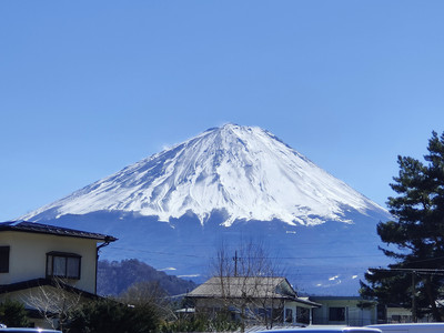 IMG20230226122026.jpg