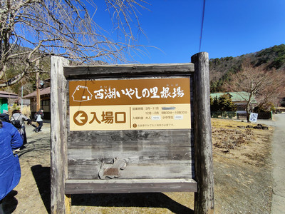 IMG20230226122346.jpg
