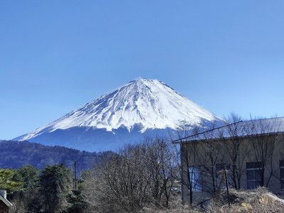 IMG20230226122352.jpg