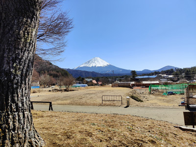 IMG20230226122918.jpg