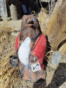 IMG20230226124448.jpg