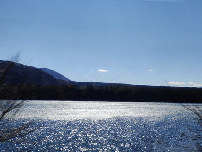 IMG20230226131507.jpg
