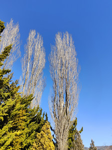 IMG20230226142804.jpg