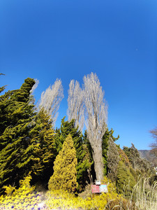 IMG20230226142822.jpg