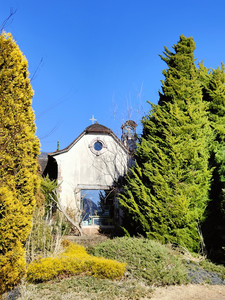 IMG20230226142917.jpg