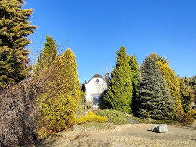 IMG20230226142931.jpg