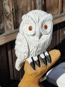 IMG20230226145706.jpg