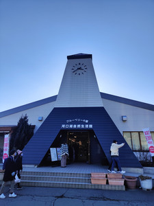 IMG20230226153806.jpg