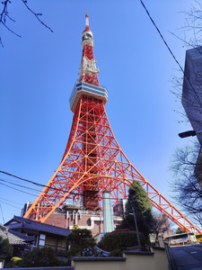 IMG20230227101726.jpg