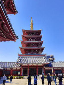 IMG20230227121006.jpg