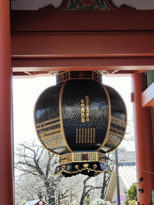 IMG20230227121058.jpg