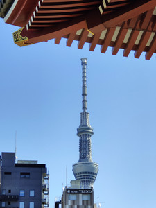 IMG20230227121123.jpg