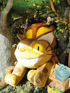 IMG20230227135028.jpg