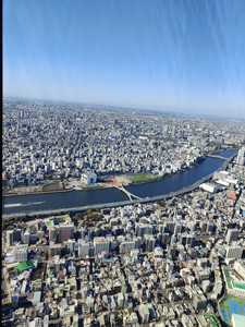 IMG20230227141337.jpg