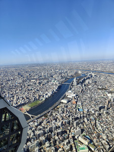 IMG20230227142210.jpg