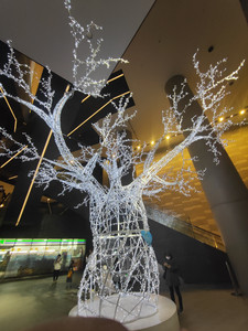 IMG20230227144749.jpg