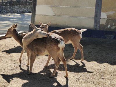 IMG20230228103630.jpg