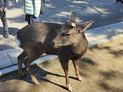 IMG20230228103653.jpg