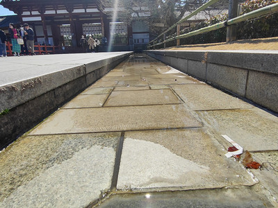 IMG20230228121355.jpg
