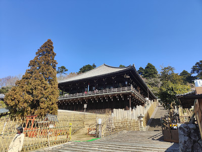 IMG20230228132359.jpg
