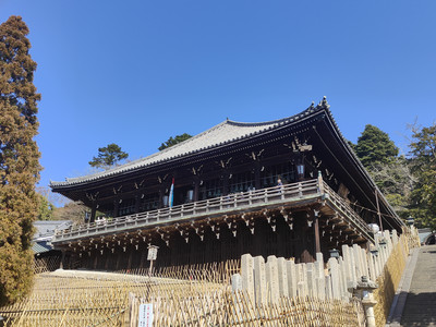 IMG20230228132539.jpg