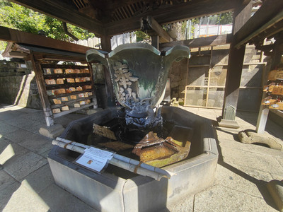 IMG20230228132850.jpg