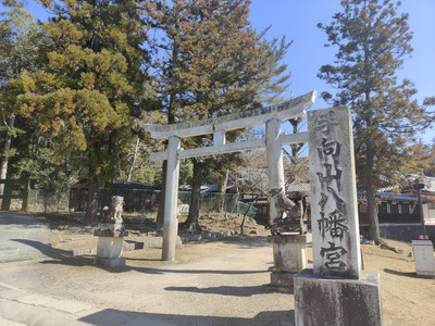 IMG20230228134437.jpg