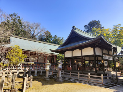 IMG20230228134633.jpg