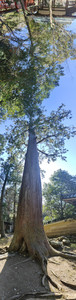 IMG20230228135344.jpg