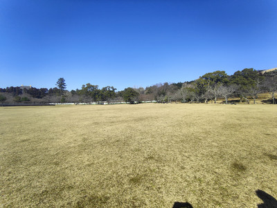 IMG20230228140152.jpg