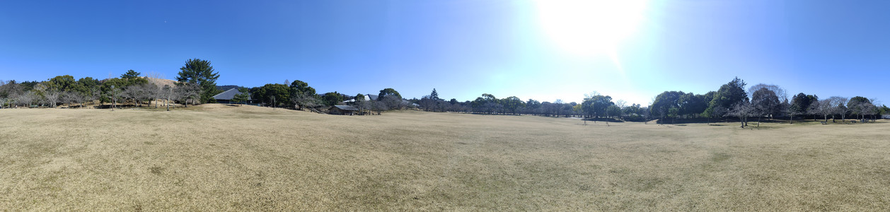 IMG20230228140225.jpg