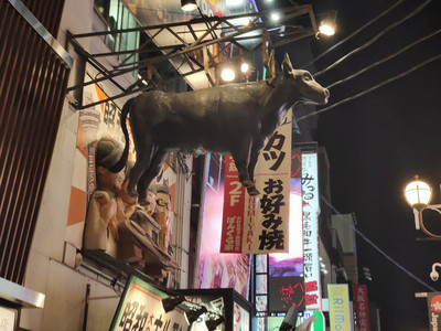IMG20230228193056.jpg
