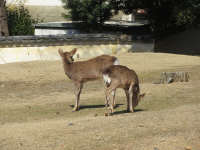 IMG_0327.JPG