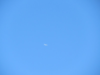 IMG_0345.JPG