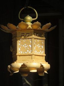 IMG_0396.JPG