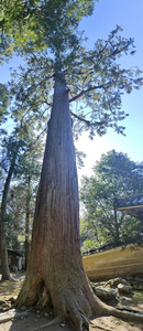 IMG_20230228_135405.jpg
