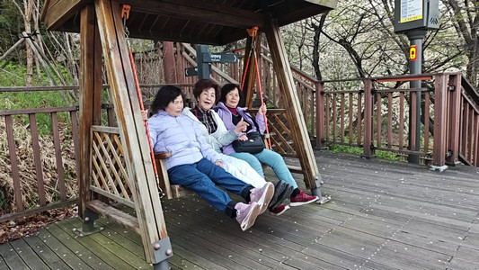 VID_20260406_161014440.mp4