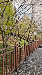 VID_20260406_161838640.mp4