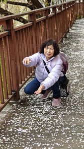 VID_20260406_161913527.mp4