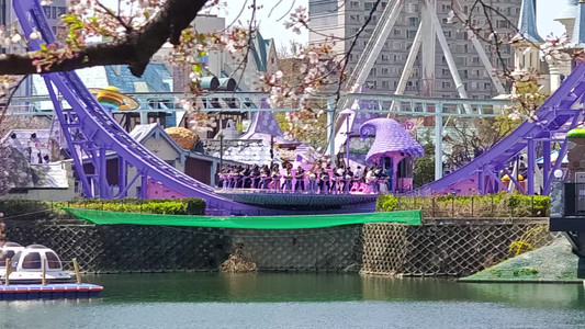 VID_20260407_113517783.mp4