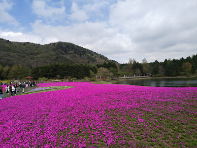IMG_20260425_131311517_HDR.jpg